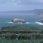 Looking north from Tintagel Castle