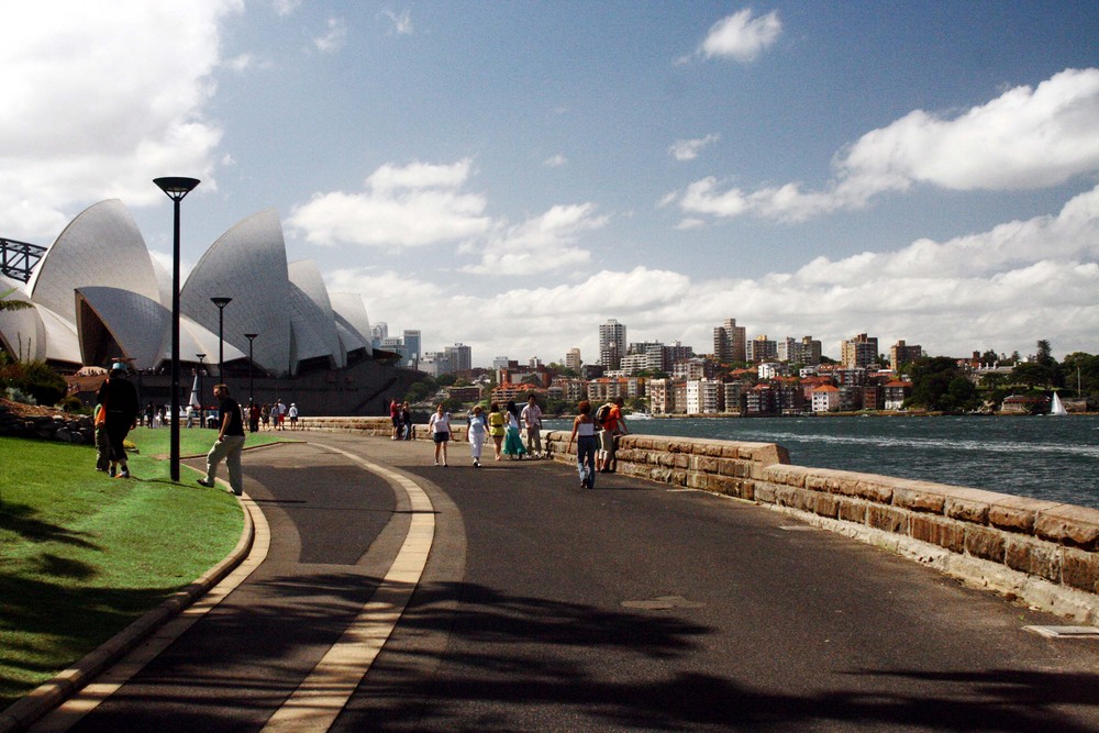 looking out at sydney harbour