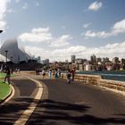 looking out at sydney harbour