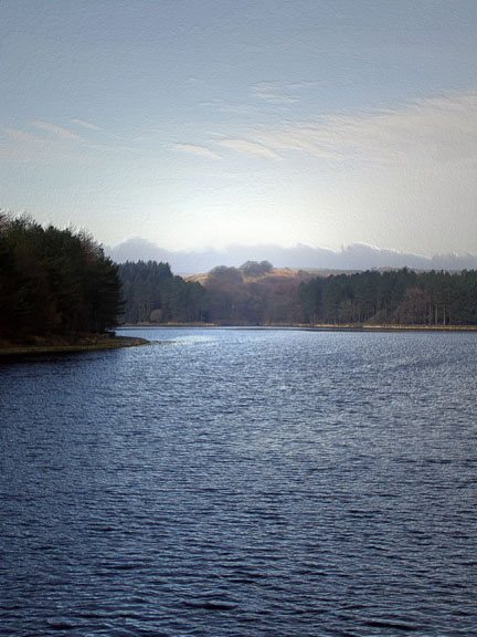 Looking over the lake