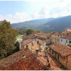 Looking over the rooftops