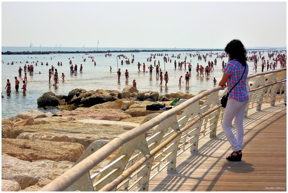 Looking the bathers