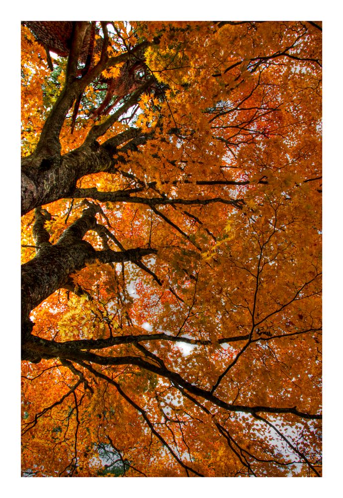 Looking up