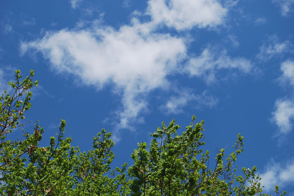 looking up