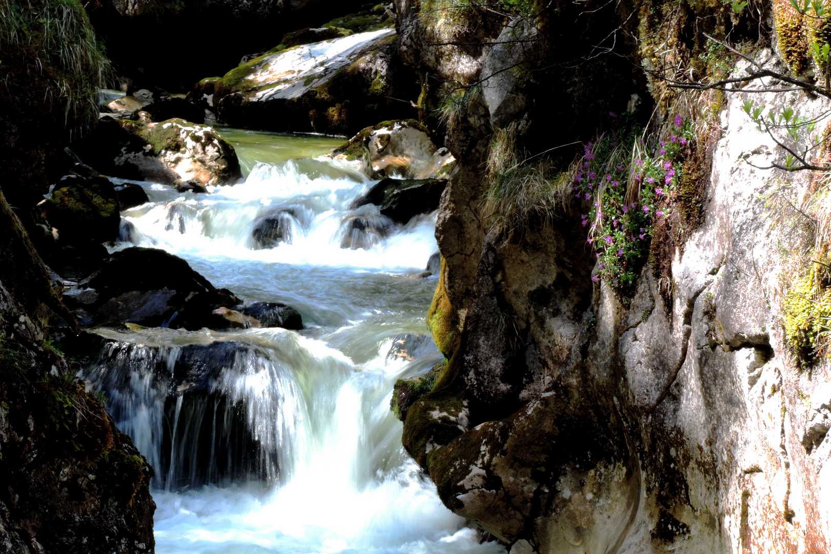 Looking up Creek