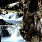 Looking up Creek