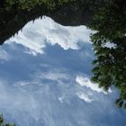 Looking up into the Colorado sky