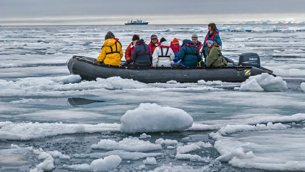 LOOKOUT FOR POLARBEAR