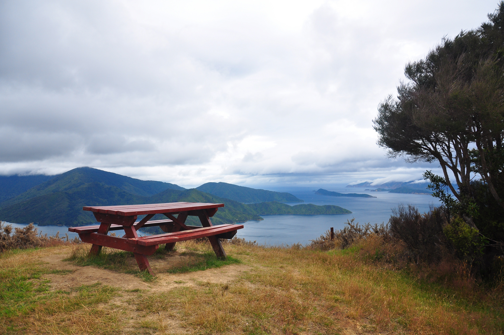 Lookout in New Zealand