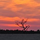 Loonse en Drunense duinen Holland