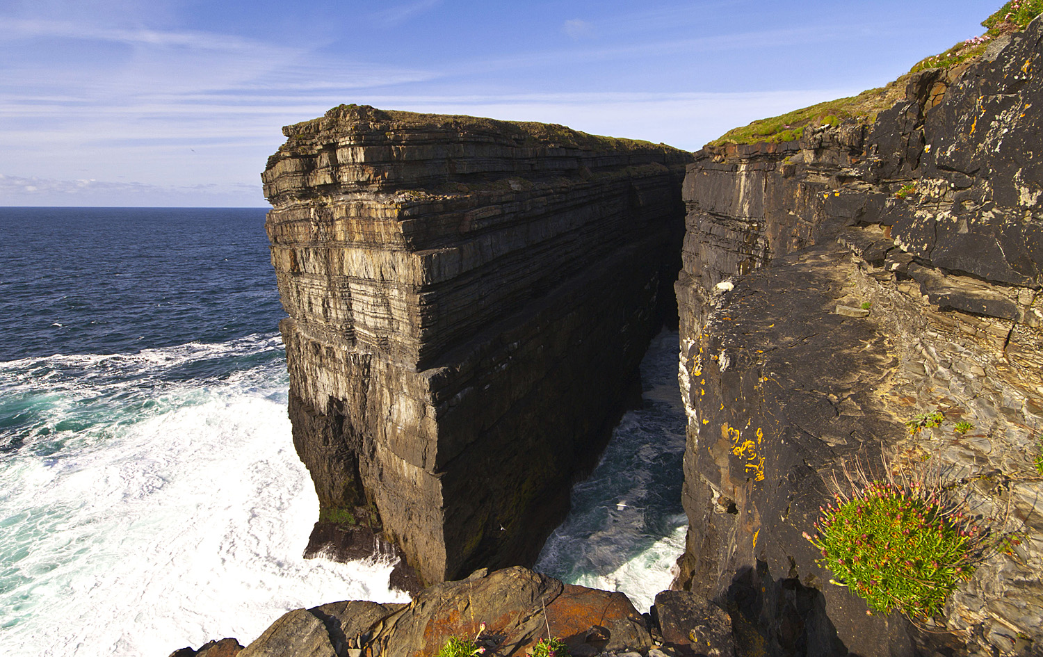 Loop Head