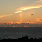 Loop Head in der Abenddämmerung