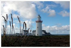 [ Loop Head Lighthouse II ]