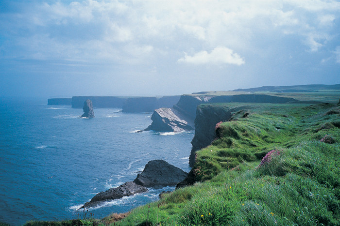 loop head_claire