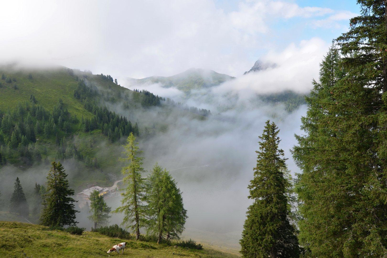 Loosbühelalmhütte im Nebel...