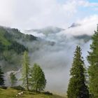 Loosbühelalmhütte im Nebel...