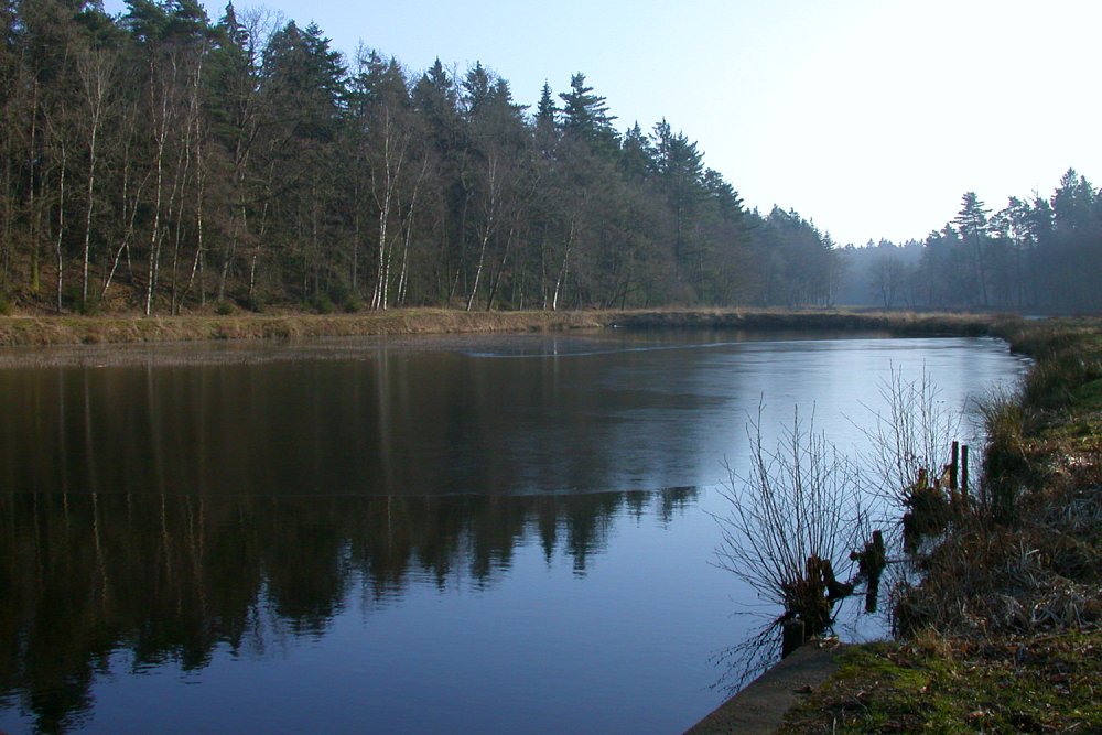 Lopauer See