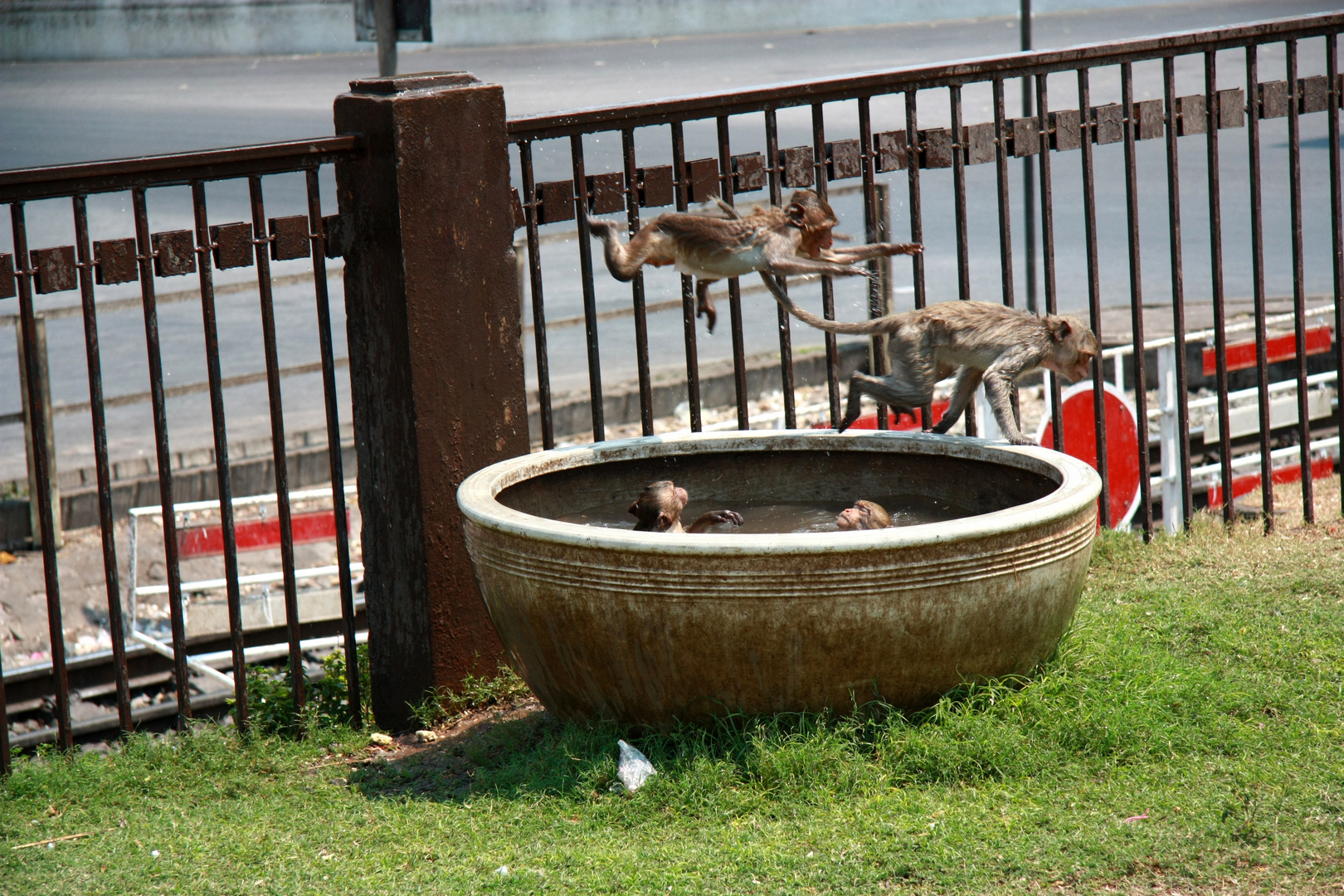 Lopburi