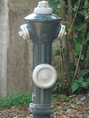 :-) lopizeihydrant?