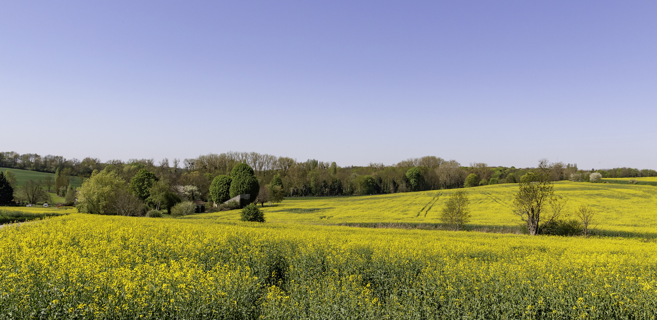 L'or de la terre