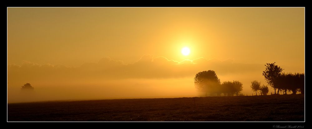 L'or de l'aurore