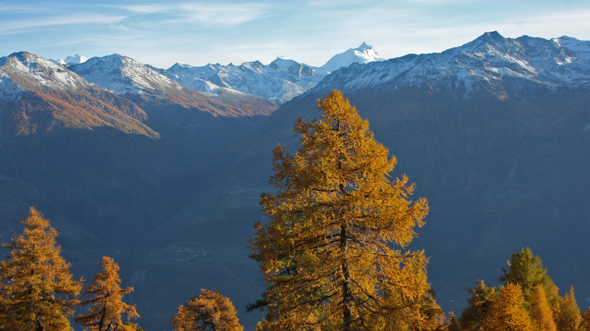 l'or de l'automne