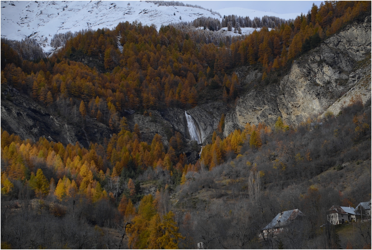 * l'Or des Alpes *