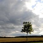 L'orage arrive.