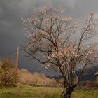 * l'orage arrive *