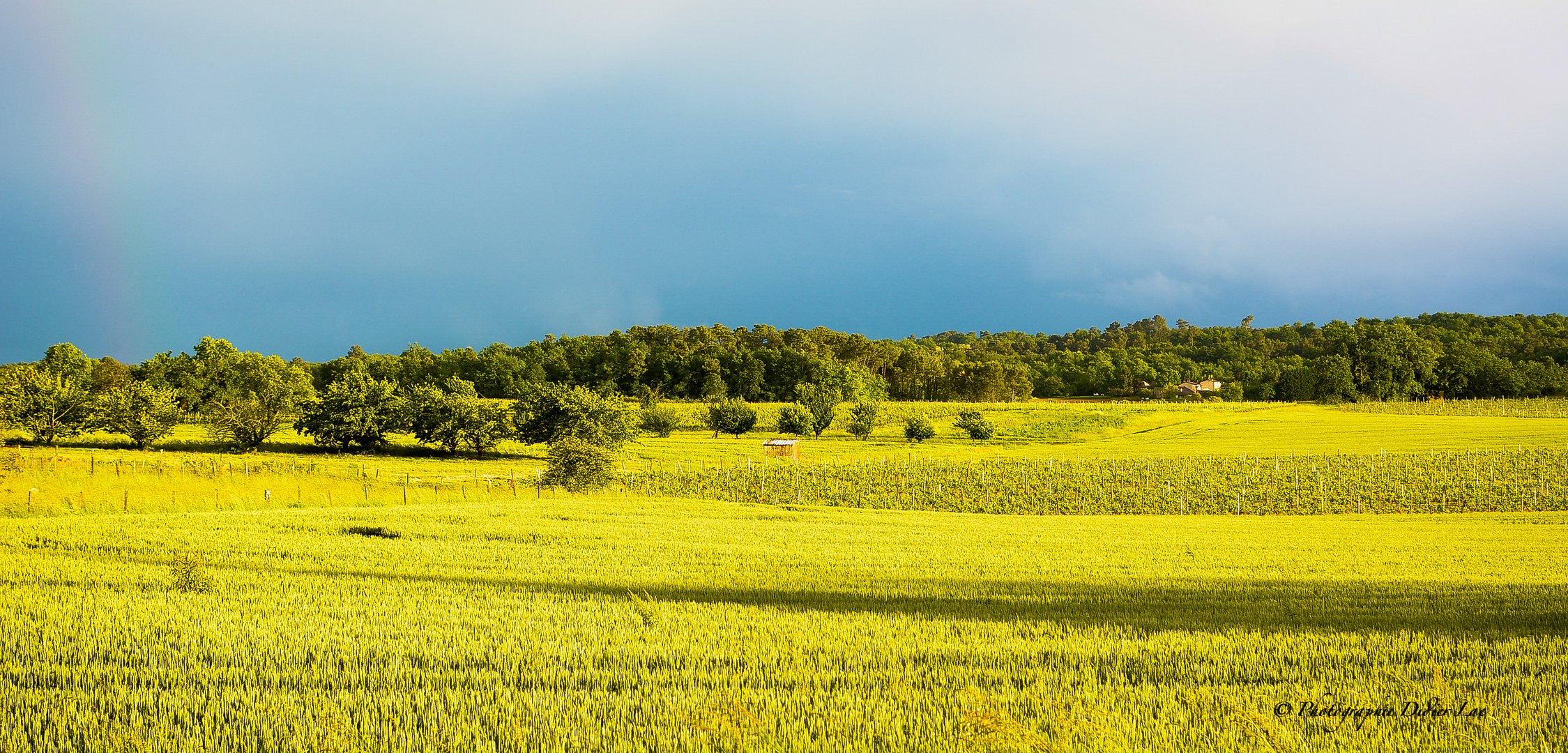 l'orage arrive 