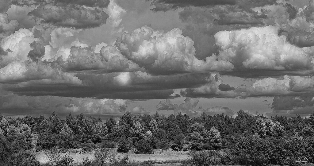 L'orage en dégradés de gris