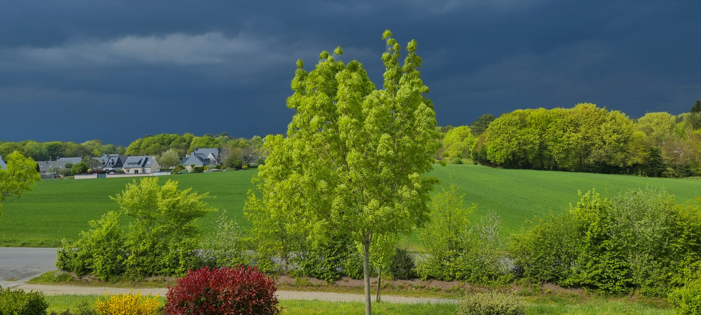 L'orage-gronde-au-loin-