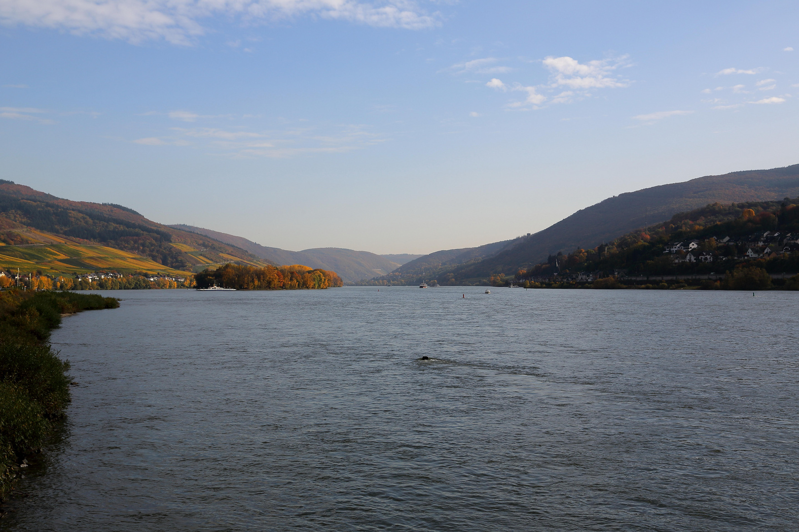 Lorch am Rhein, Blick auf den Rhein nach Osten