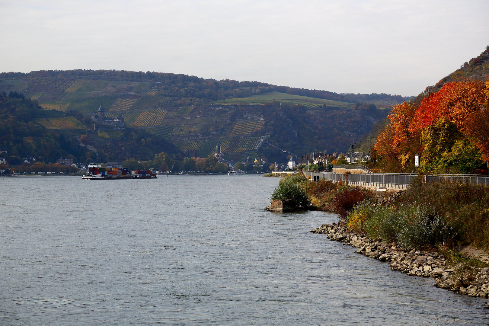 Lorch am Rhein, Blick auf den Rhein nach Westen