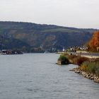 Lorch am Rhein, Blick auf den Rhein nach Westen