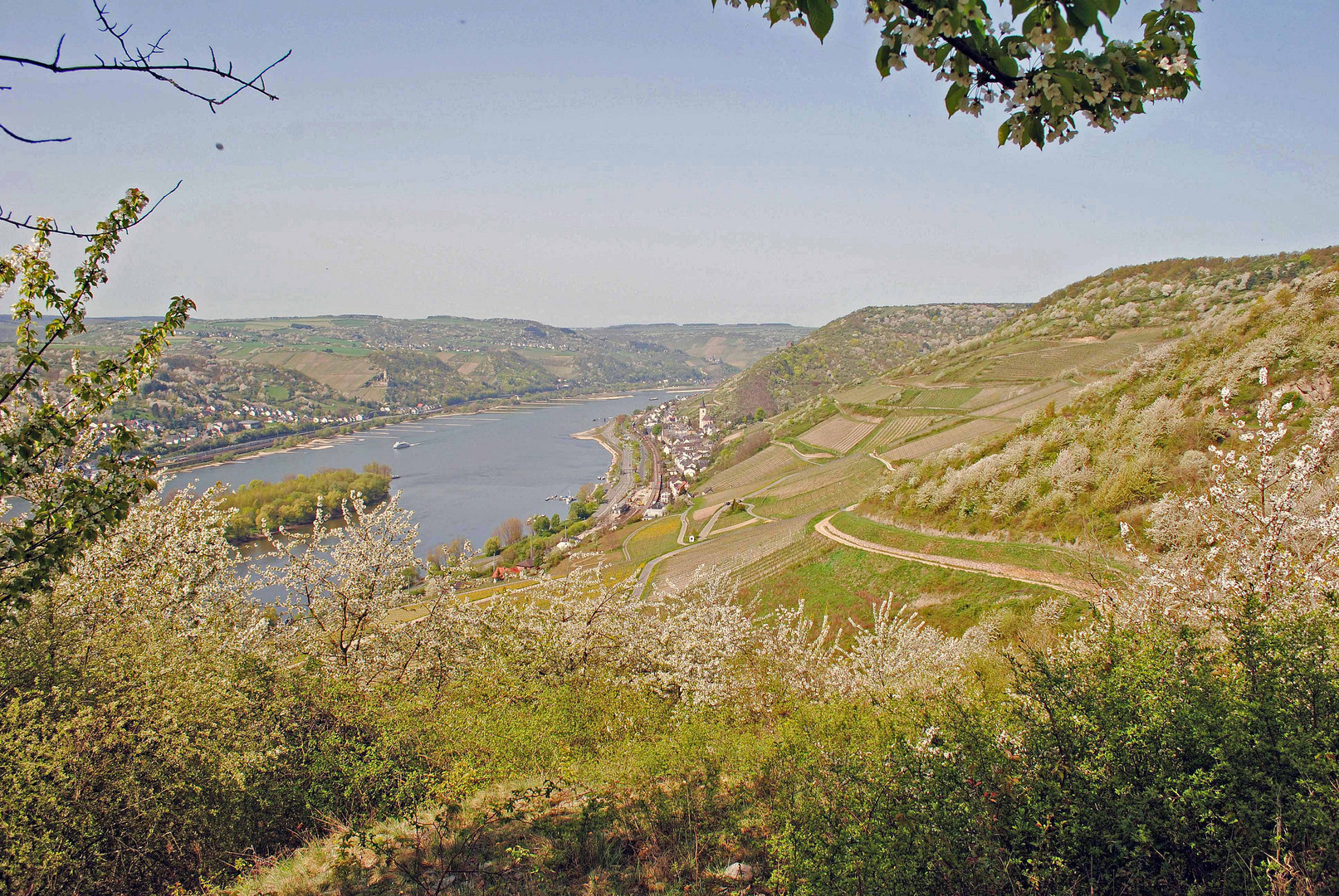 Lorch am Rhein