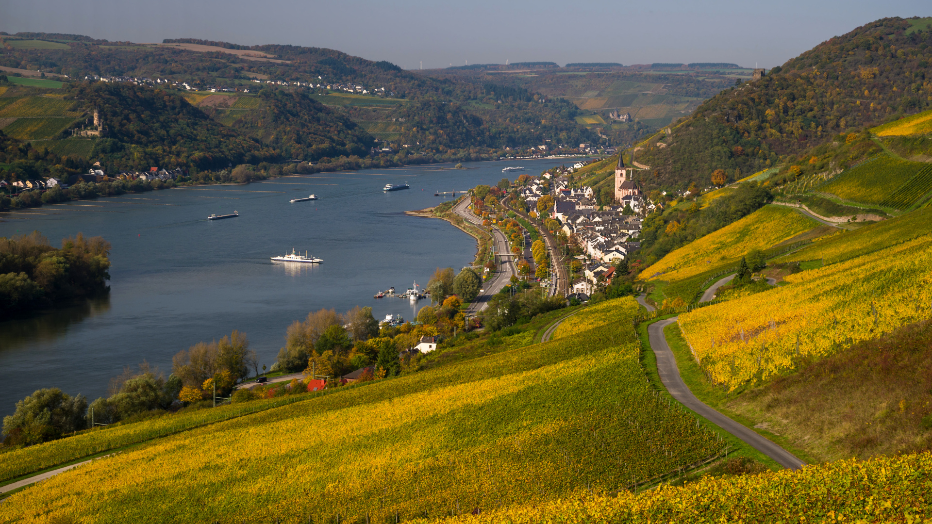 Lorch am Rhein im Herbst