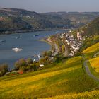 Lorch am Rhein im Herbst