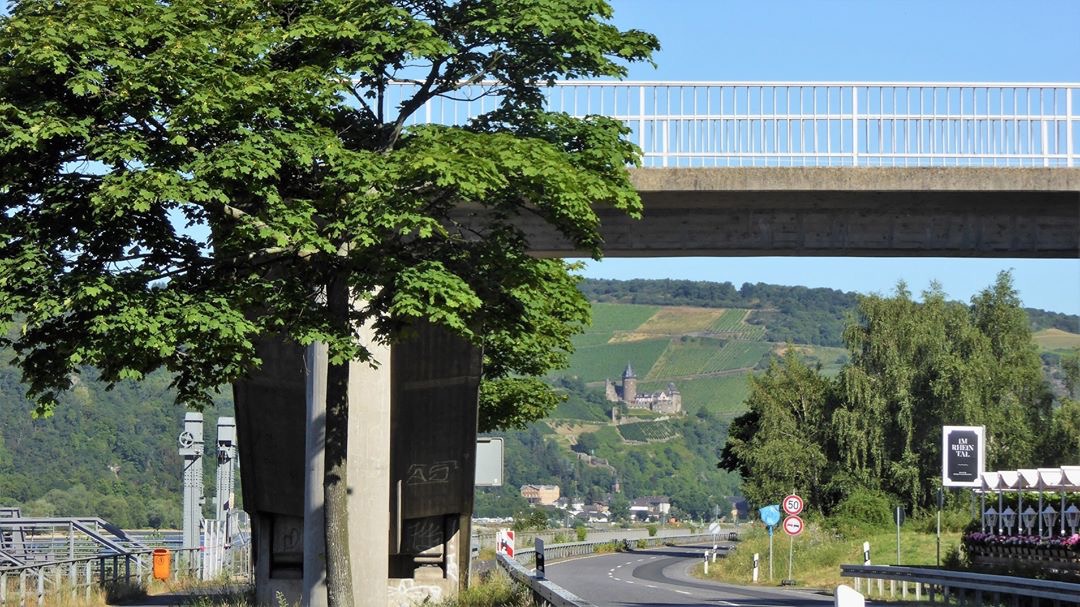 Lorch Rheingau