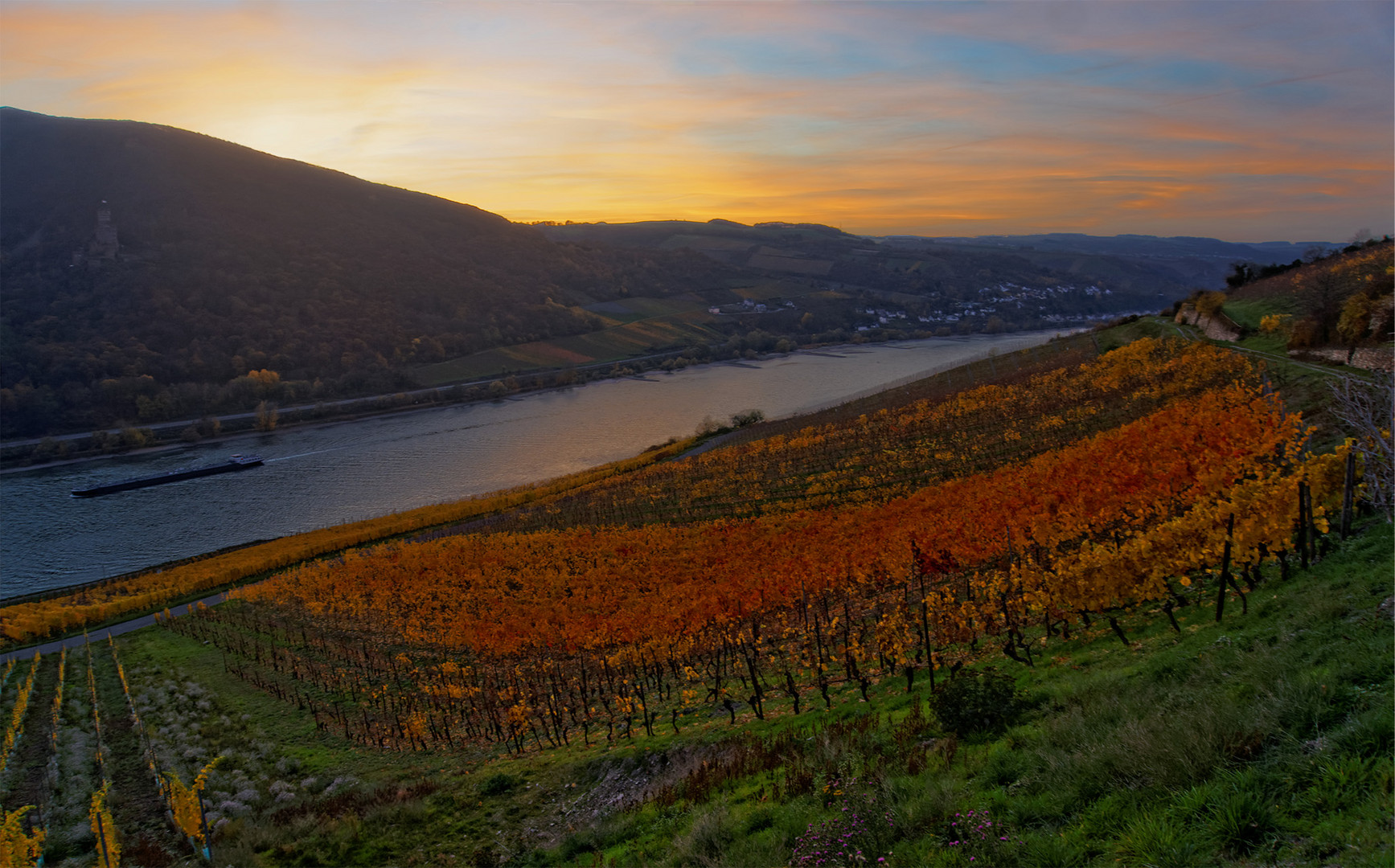 Lorcher Weinberge im Mittelrheintal am Abend