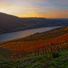 Lorcher Weinberge im Mittelrheintal am Abend