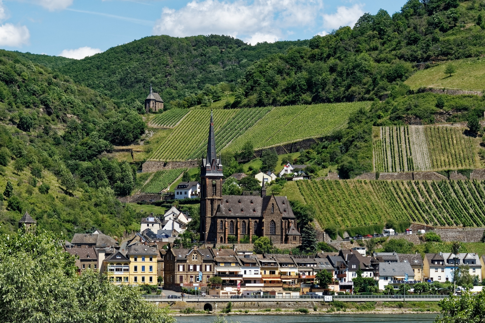 Lorchhausen am Rhein