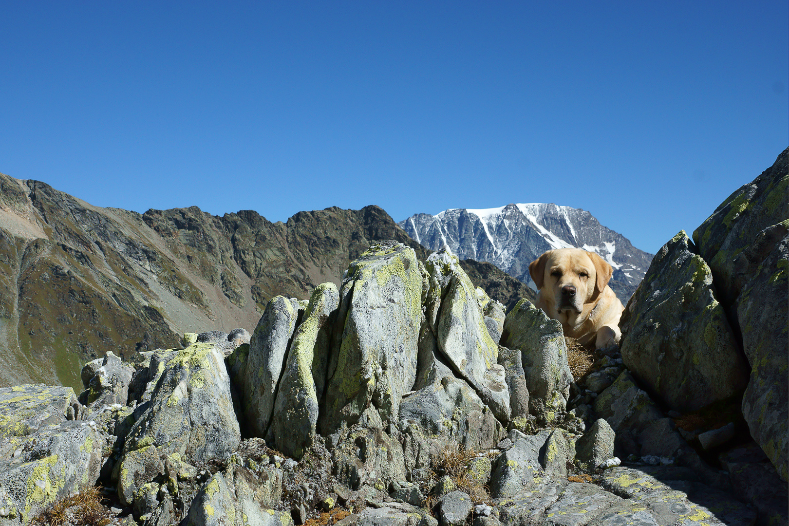 Lord e il Mont Velan