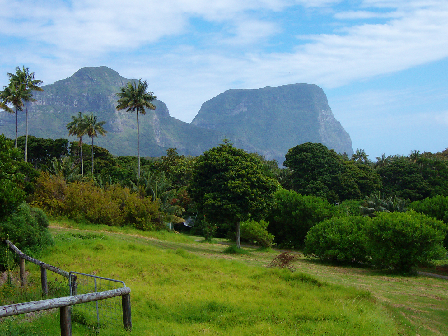 Lord Howe Island 3