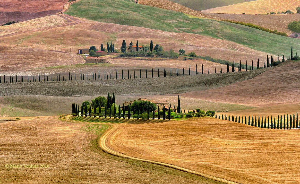 L'ordine imperturbabile della campagna in Val d'Orcia