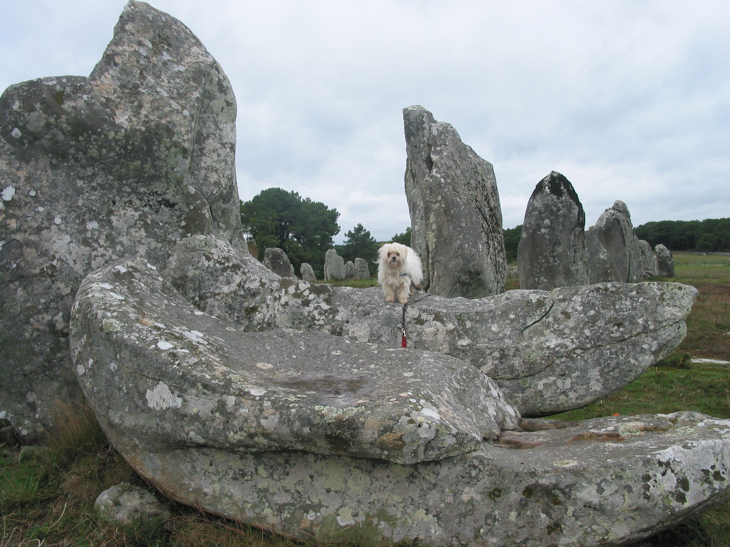 Loreena im Urlaub