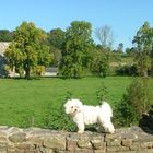 Loreena in der Normandie