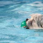 Loreena in Wasserlaune