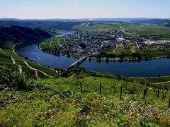 Lorelei an der Mosel