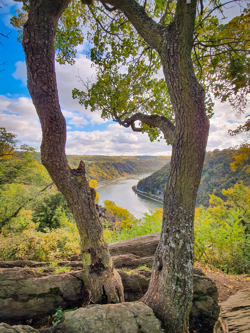 Loreley